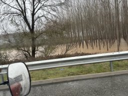 275-20-01-2026 IMG_3498